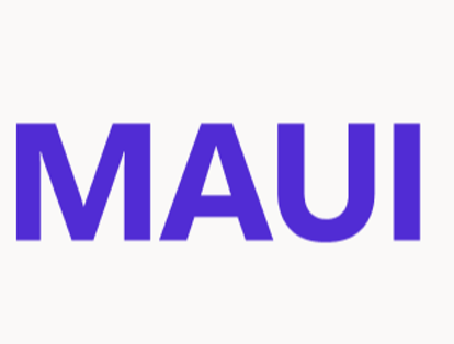 App Development with MAUI and Custom Framework