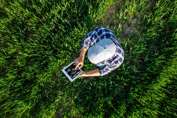 Farmer using app on tablet