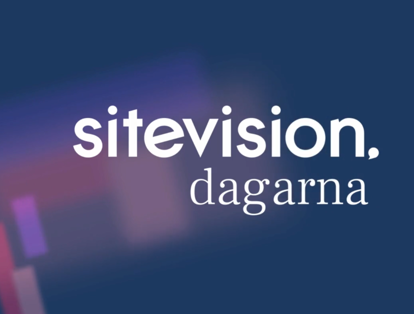 2024 Sitevision Day 1, Understanding Your Website
