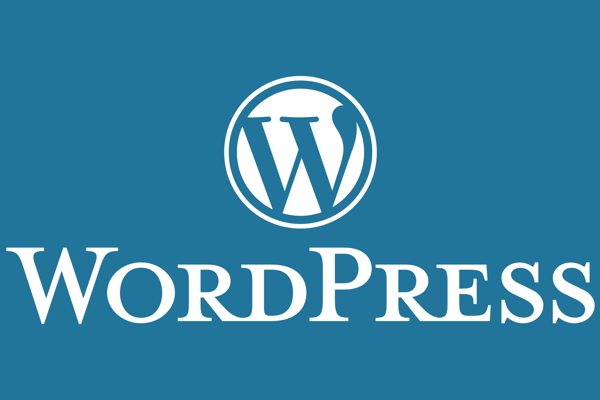 Web Development in WordPress – From Idea to Reality