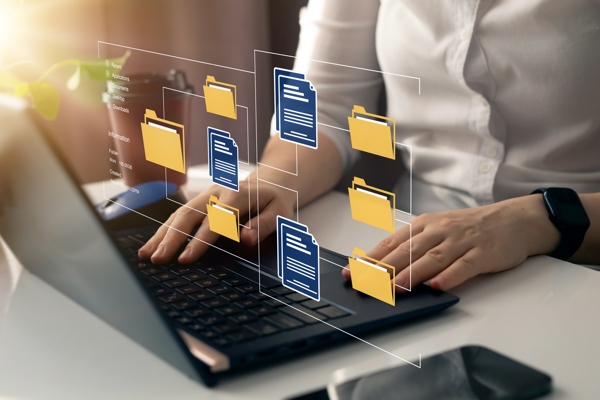 Business Systems That Deliver Value and Efficiency